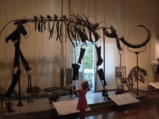 Een echte Sloveense mamoet in het Natuurhistorisch museum.