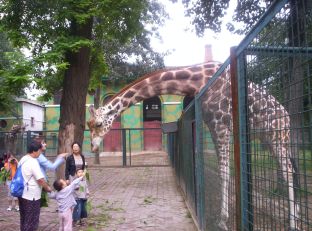 Niet verboden de dieren te voeren