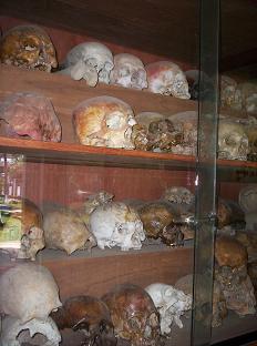 Duizenden skeletten zijn hier gevonden!
