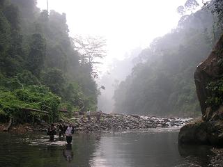 De rivier