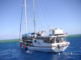 The Atlantic Clipper