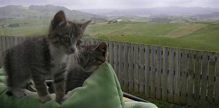 Ooooh, wa lief!