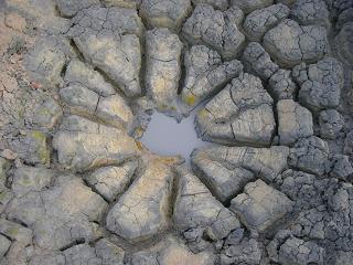 De grond