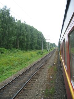 dichte begroeiing langs het spoor